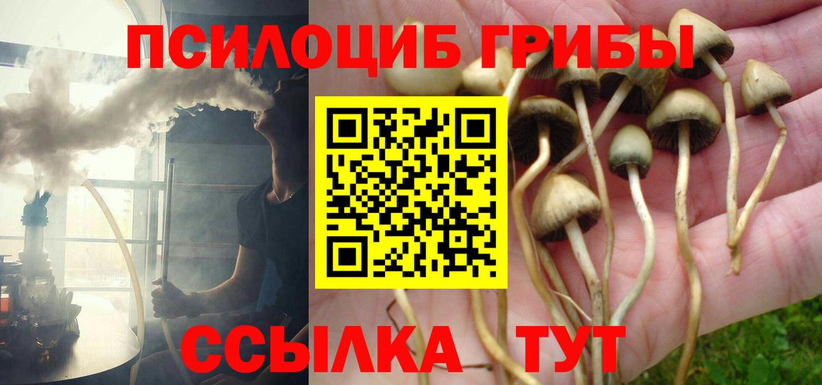 Углич  Псилоцибиновые грибы Magic Shrooms  Псилоцибиновые грибы Magic Shrooms  Вход с VPN 